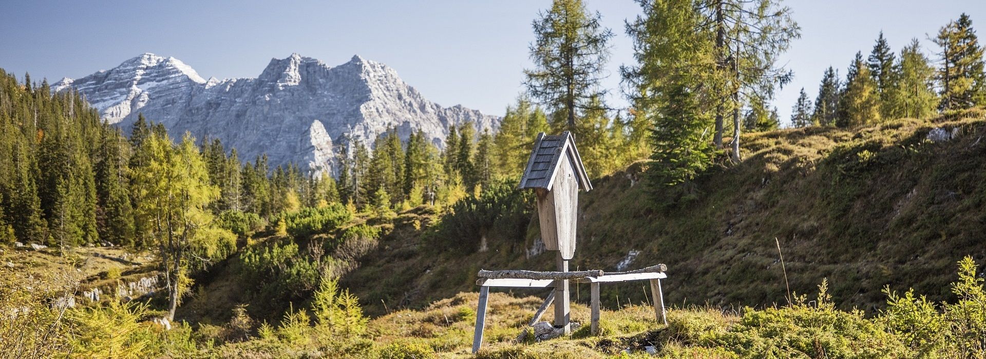 Blick auf die Loferer Steinberge