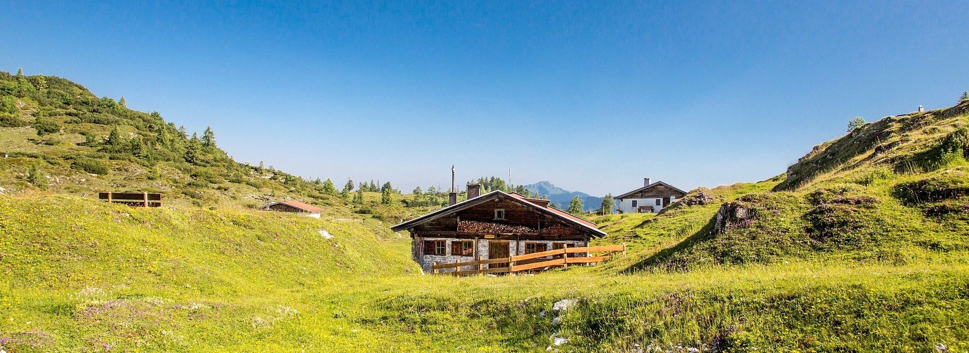 Hütte umgeben von blühenden Almwiesen